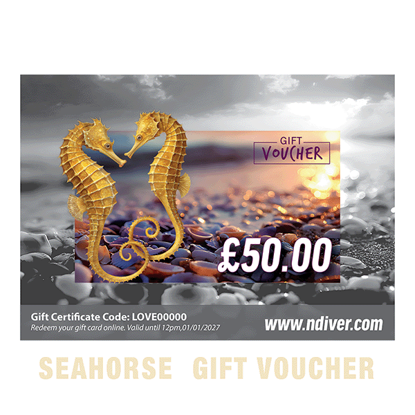Northern Diver Gift Cards