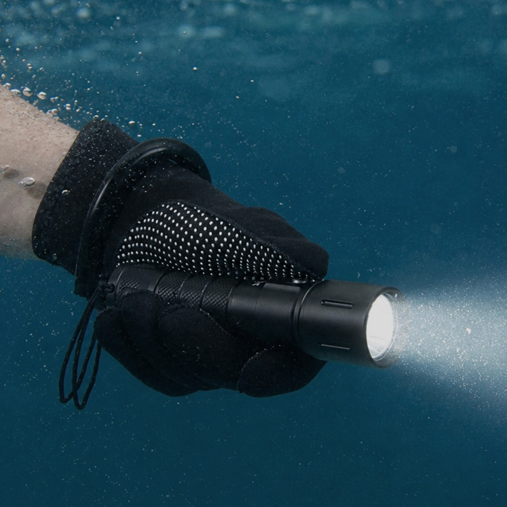 varilux-micro-underwater-image